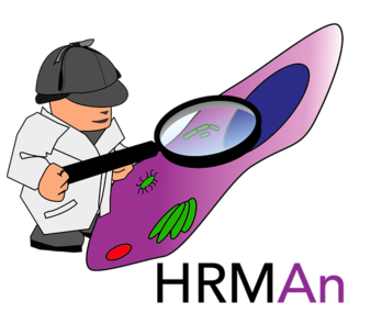 HRMAnFigure